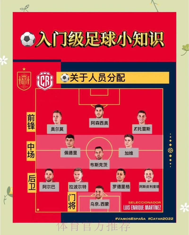 世界杯外围入口平台深度解析